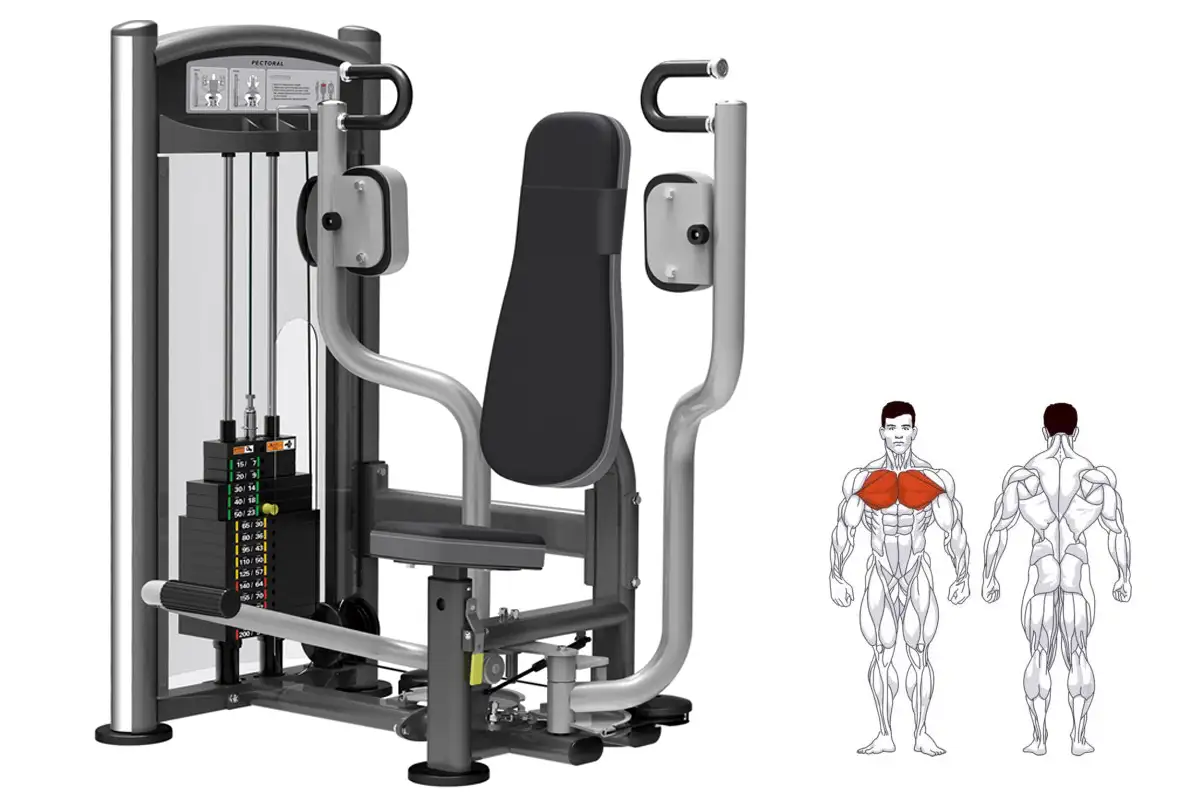 Chest Flyes στο Pec Deck