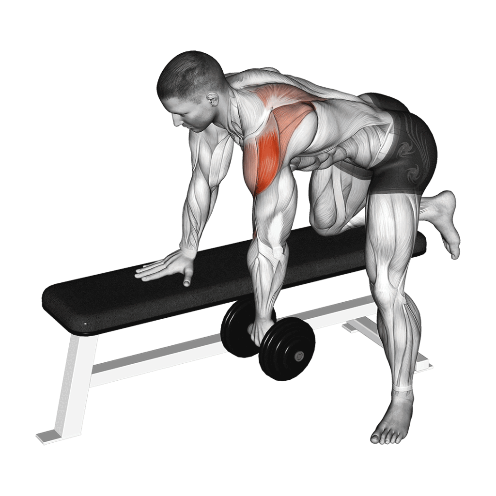Dumbbell Seated Bent Over Rear Delt Row