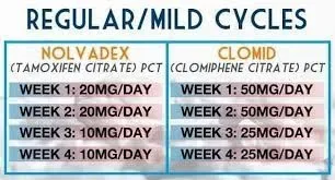 Πώς το Clomid βοηθά στην αποκατάσταση της φυσικής παραγωγής τεστοστερόνης